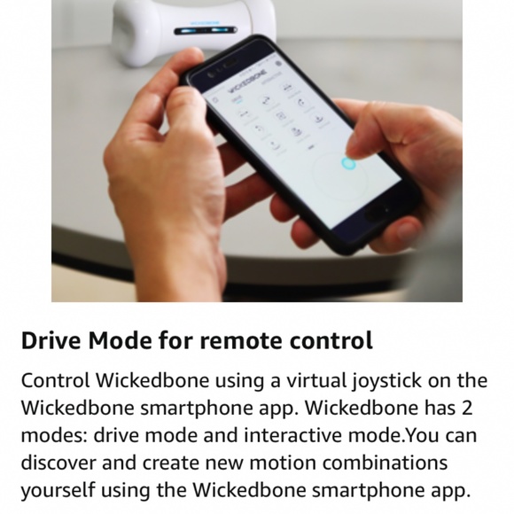 Wicked Bone Interactive Automatic Dog Cat Toy Remote Control Robot Rechargeable - Picture 6 of 15